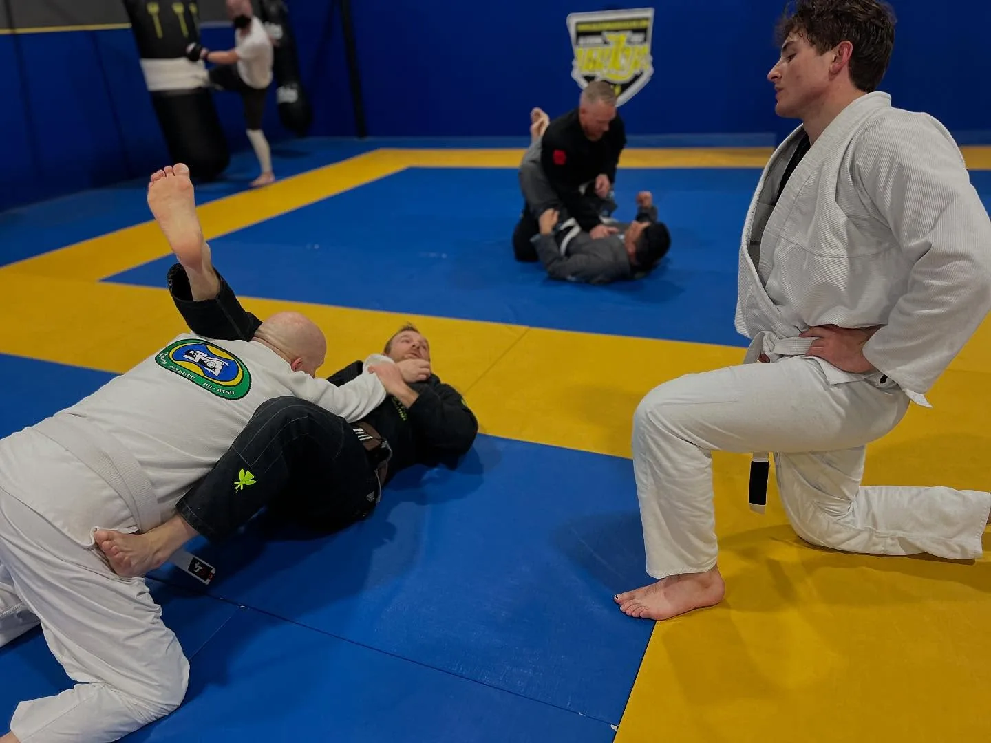 Brazilian Jiu-Jitsu class at Zingano BJJ Broomfield CO