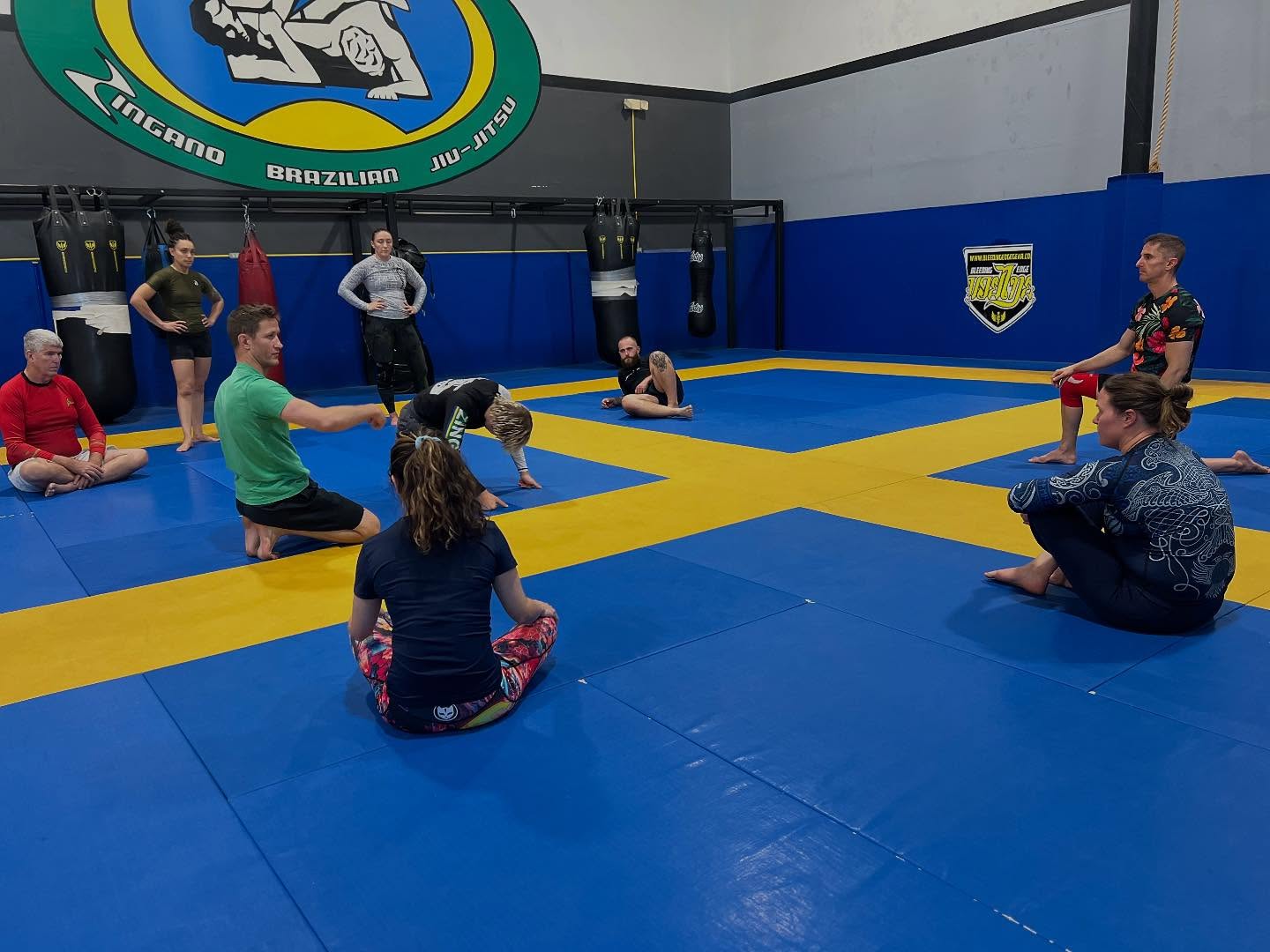 No-gi BJJ class at Zingano BJJ Broomfield Colorado